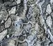 Вискоза шелк Бохо питон, серый с черным (отрез 0,9 м) - фото 3 - интернет-магазин tkani-atlas.com.ua