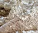 Пайетка на сетке ракушка, бежевый - фото 2 - интернет-магазин tkani-atlas.com.ua