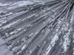 Паєтка на сітці мушля, срібло - інтернет-магазин tkani-atlas.com.ua