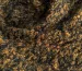 Букле люрекс, горчица - фото 3 - интернет-магазин tkani-atlas.com.ua