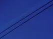 Костюмка Франт, яркий электрик - интернет-магазин tkani-atlas.com.ua