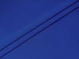 Костюмка Франт, яркий электрик - интернет-магазин tkani-atlas.com.ua