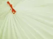 Фатин кристал, ванильный - интернет-магазин tkani-atlas.com.ua